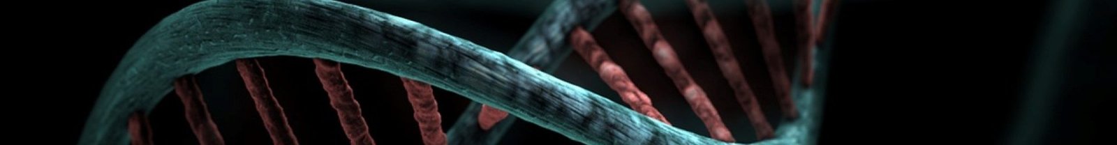 dna, cells, genes, helix, particles, dna, dna, dna, dna, dna